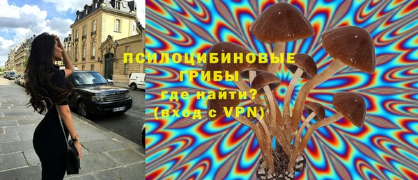 mdpv Володарск