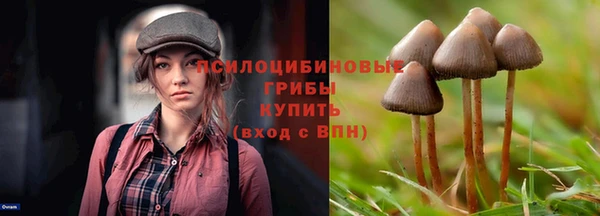 ECSTASY Волоколамск