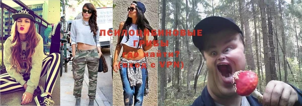 mdpv Володарск