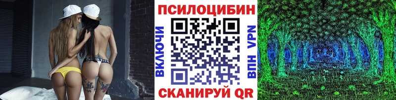 hydra сайт  Отрадное  Псилоцибиновые грибы MAGIC MUSHROOMS  продажа наркотиков 