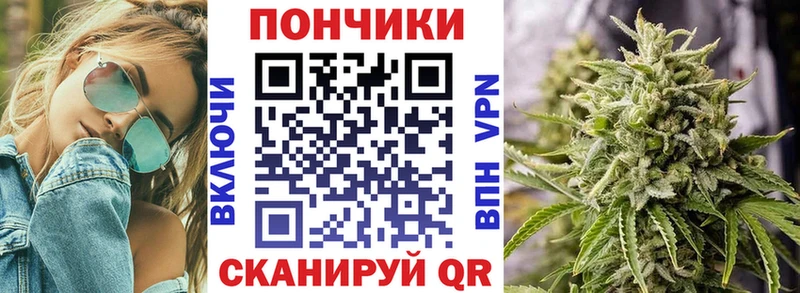 сколько стоит  Отрадное  Бошки марихуана OG Kush 